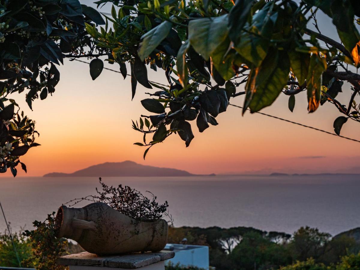 Casa Astra Bed & Breakfast Anacapri  Exterior photo