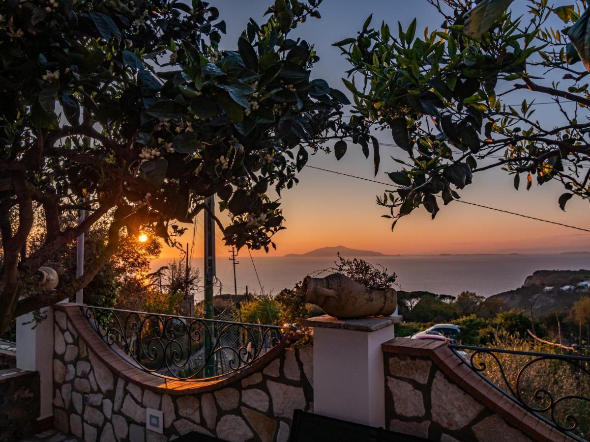 Casa Astra Bed & Breakfast Anacapri  Exterior photo