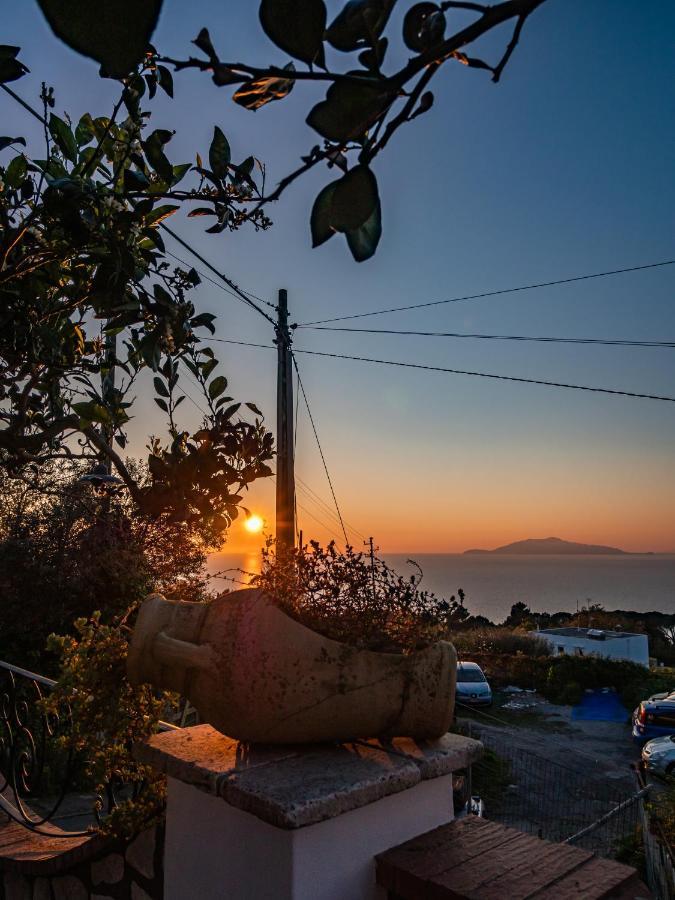 Casa Astra Bed & Breakfast Anacapri  Exterior photo